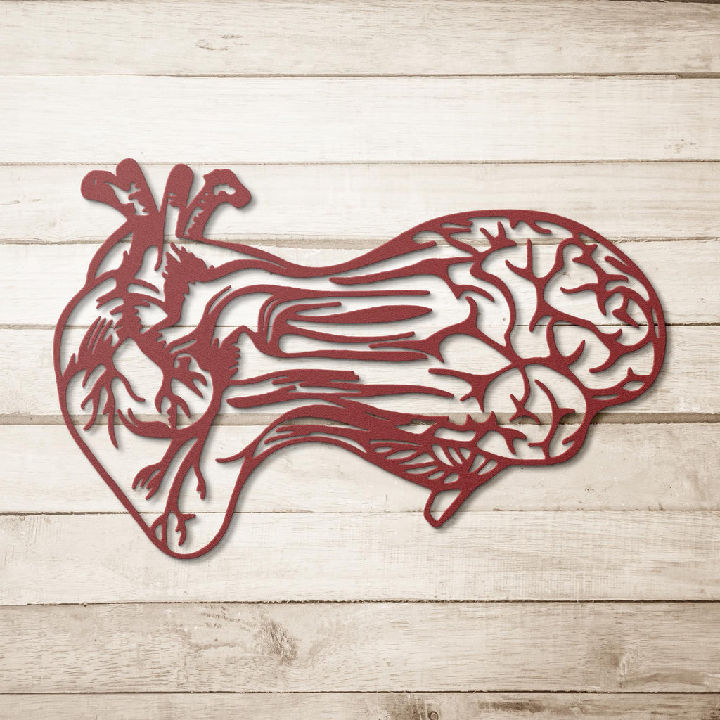 Heart and Brain Metal Sign – Anatomical Wall Art | Unique Metal Artwork, Medical Gift Idea